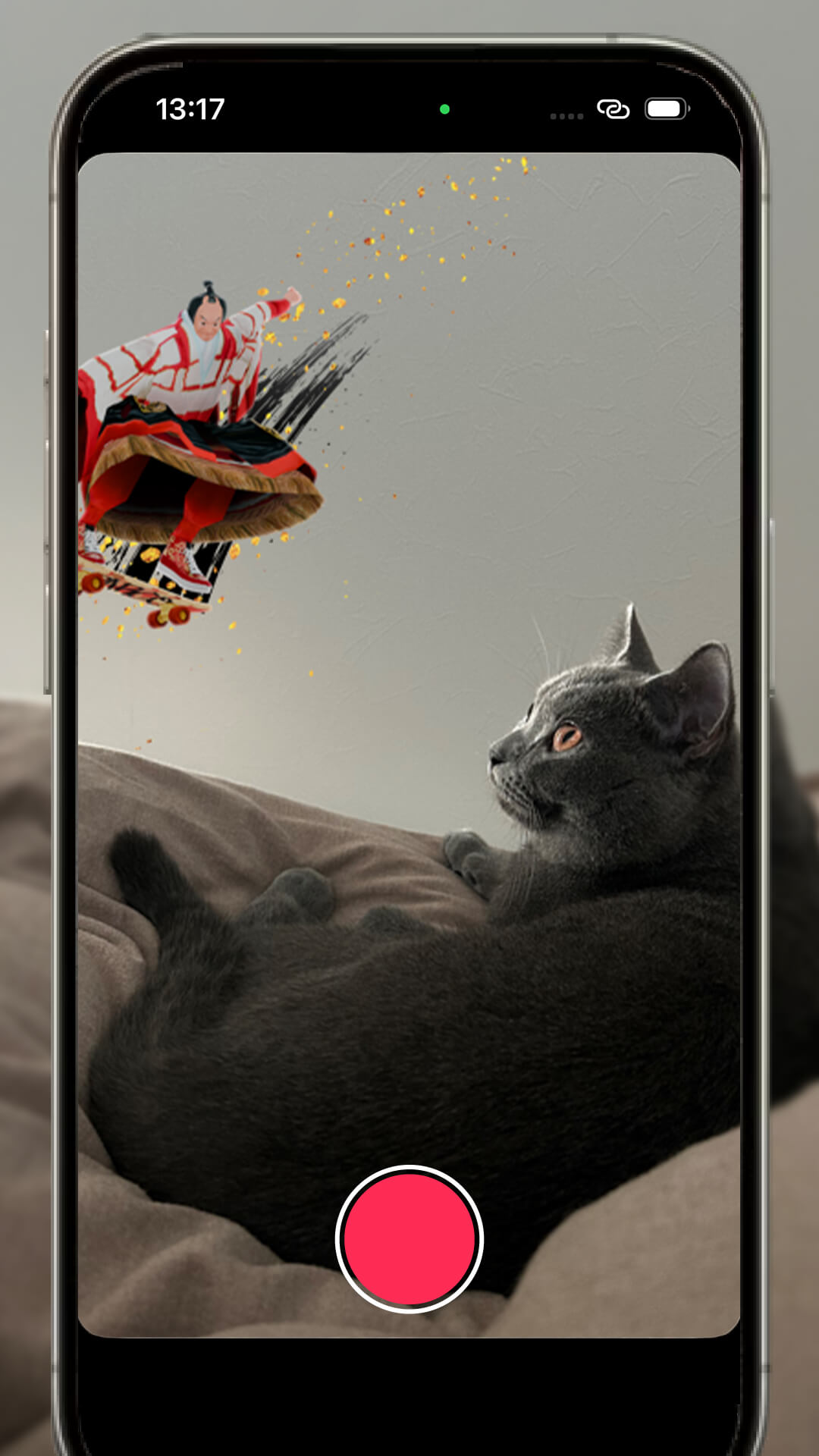 CAT DARASUKE