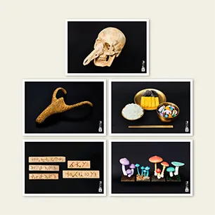 パンジャ王国展ポストカード（全5種）